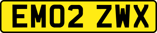 EM02ZWX
