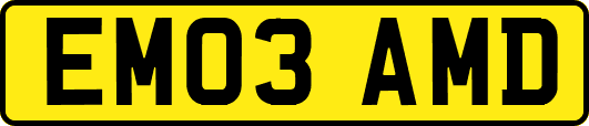 EM03AMD