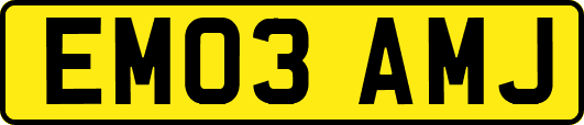 EM03AMJ