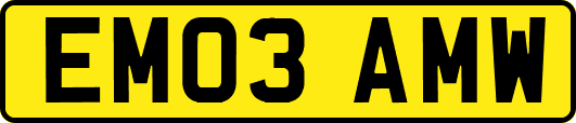 EM03AMW
