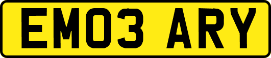 EM03ARY