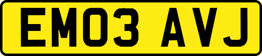 EM03AVJ