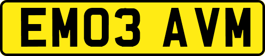 EM03AVM