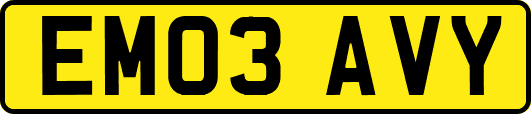EM03AVY
