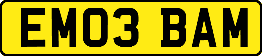 EM03BAM