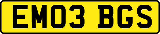 EM03BGS