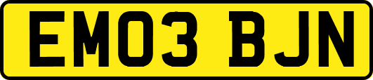 EM03BJN