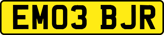 EM03BJR