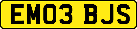 EM03BJS