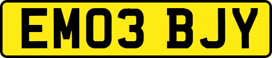 EM03BJY