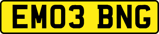 EM03BNG
