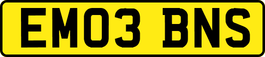 EM03BNS