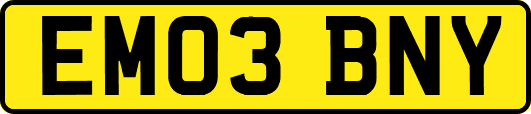EM03BNY