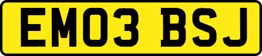 EM03BSJ