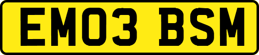 EM03BSM