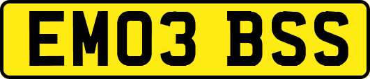 EM03BSS