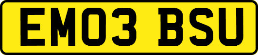 EM03BSU