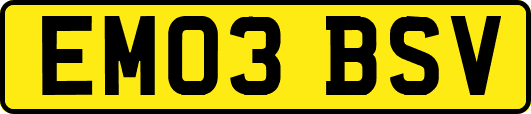 EM03BSV