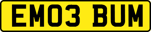 EM03BUM