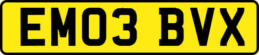 EM03BVX