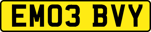 EM03BVY