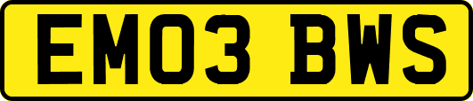 EM03BWS