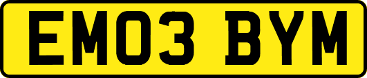EM03BYM