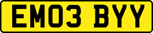EM03BYY