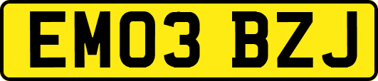 EM03BZJ