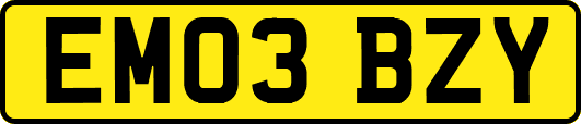 EM03BZY