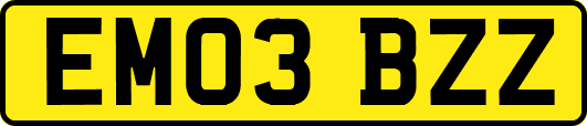 EM03BZZ