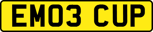 EM03CUP