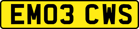 EM03CWS