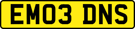 EM03DNS