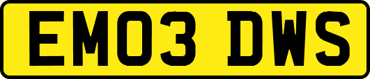 EM03DWS