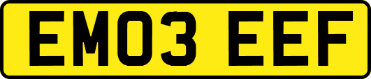 EM03EEF
