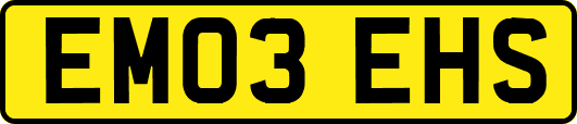 EM03EHS