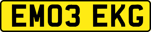 EM03EKG