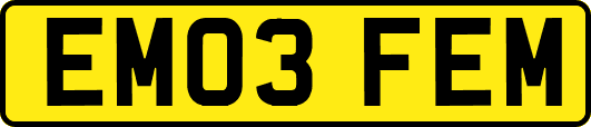 EM03FEM