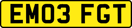 EM03FGT