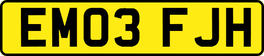EM03FJH