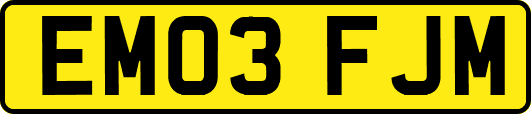 EM03FJM