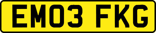 EM03FKG