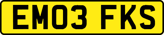 EM03FKS
