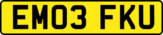 EM03FKU