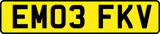 EM03FKV