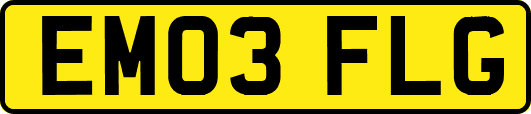 EM03FLG