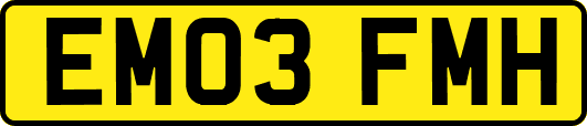 EM03FMH