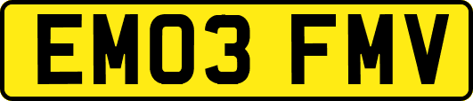 EM03FMV