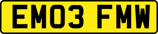 EM03FMW
